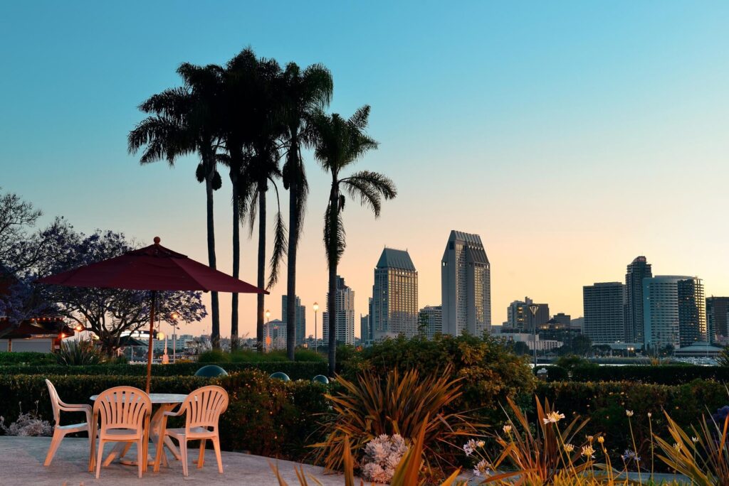 san  diego  dawn  early  morning  with  palm  tree